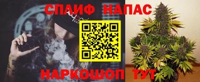 Альфа ПВП Будённовск