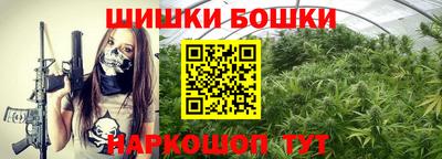 Альфа ПВП Будённовск