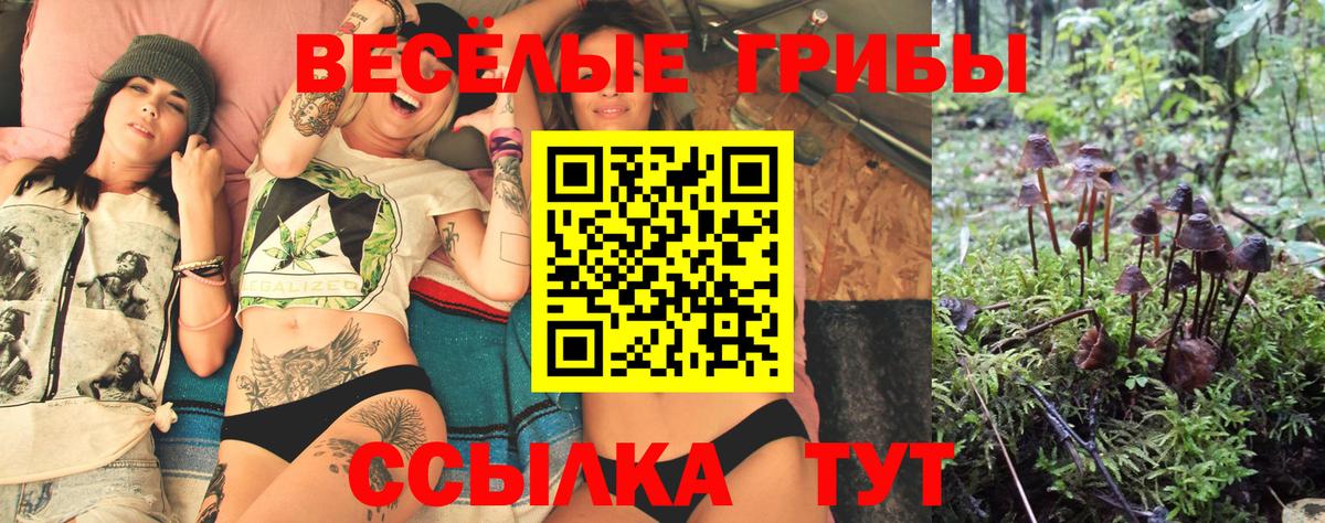 Советск  Псилоцибиновые грибы GOLDEN TEACHER  Псилоцибиновые грибы Magic Shrooms  Вход с VPN 
