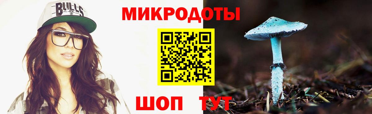 Галлюциногенные грибы Psilocybe Советск